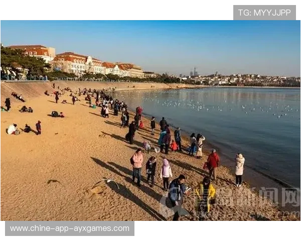 美国坐镇主场迎战非洲劲旅:一场全球瞩目的力量对决